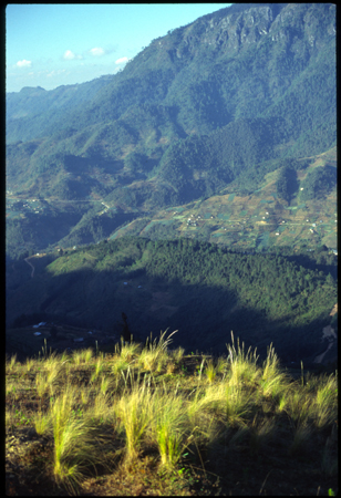 todos santos-02.jpg